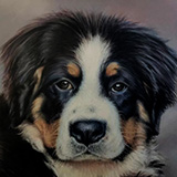 Rupert by Dotty Earl