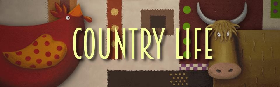 CountryLife Gallery